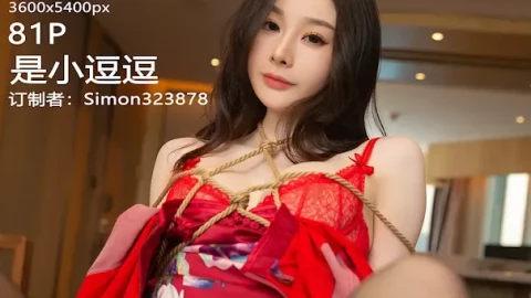 优质精品影集在线观看全集免费