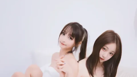 最新短片高清播放免费